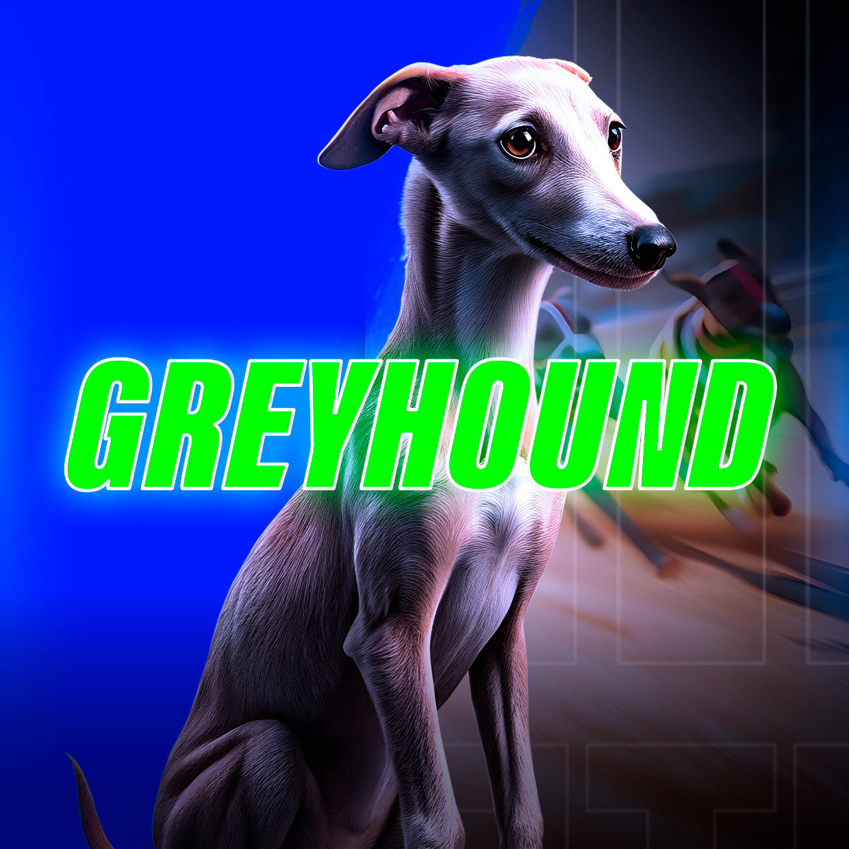 Galgos