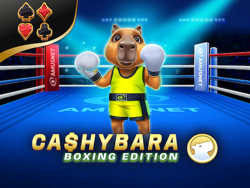 Cashybara Boxing Edition