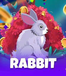 RABBIT