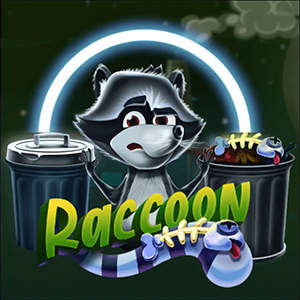 Raccoon