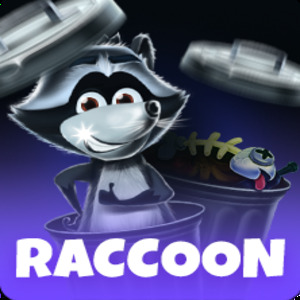 Raccoon